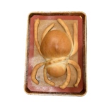 IMG_2081-removebg-preview