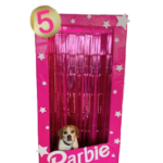 Wilma-Barbie-nobackground